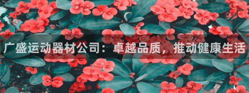 意昂体育3招商电话是多少：广盛运动器材公司：卓越品质