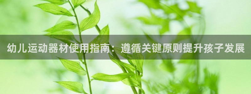 意昂体育3开户：幼儿运动器材使用指南：遵循关键原则提