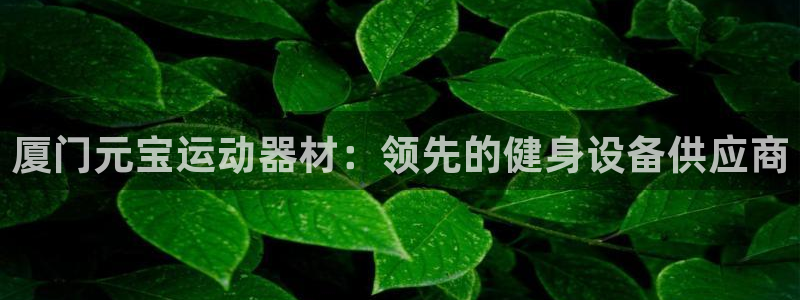 意昂3娱乐40996：厦门元宝运动器材：领先的健身设