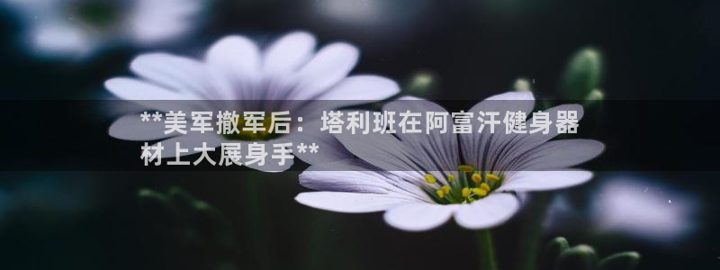 意昂3神州