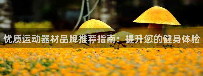 意昂体育3平台注册流程图：优质运动器材品牌推荐指南：