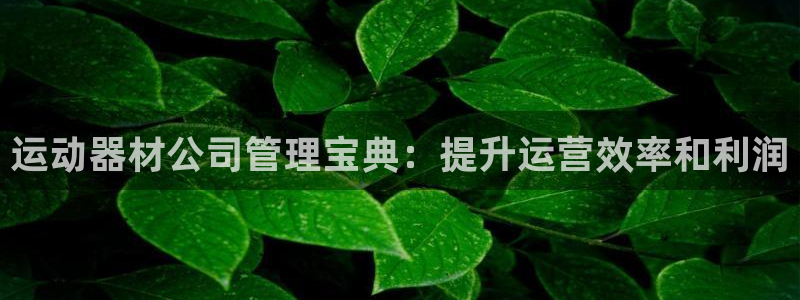 意昂体育3平台假的吗是真的吗吗：运动器材公司管理宝典