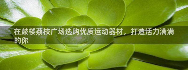 意昂平台体育：在鼓楼荔枝广场选购优质运动器材，打造活