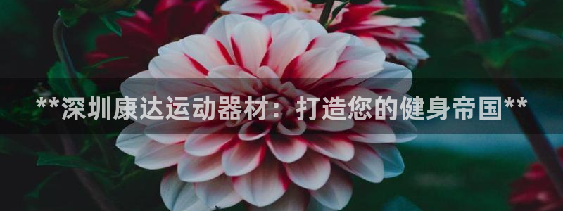 意昂体育3平台注册要钱吗安全吗：**深圳康达运动器材