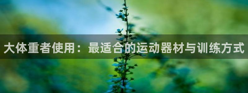 德国意昂3集团：大体重者使用：最适合的运动器材与训练