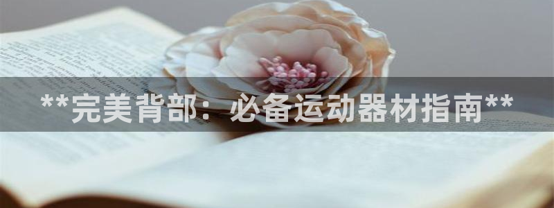 意昂体育3招商电话：**完美背部：必备运动器材指南**