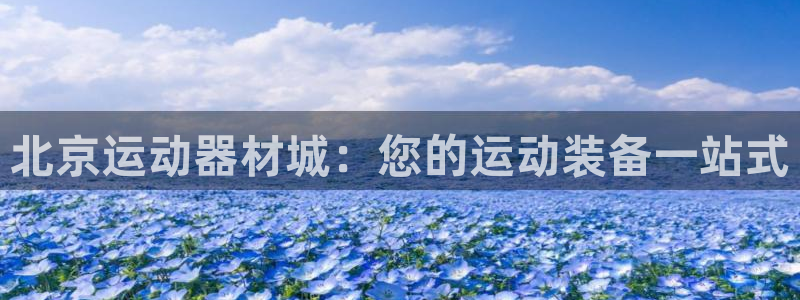 意昂3五金厂：北京运动器材城：您的运动装备一站式