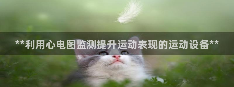 意昂体育3招商电话号码：**利用心电图监测提升运动表