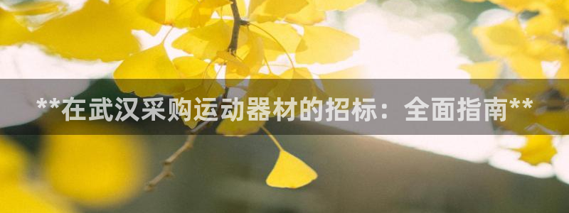 意昂3集团官网首页网址：**在武汉采购运动器材的招标