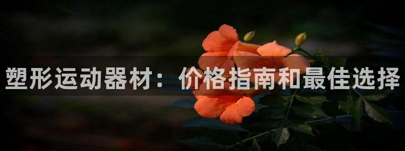 意昂3娱乐代理怎么样：塑形运动器材：价格指南和最佳选