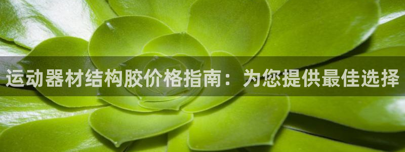 意昂体育3平台APP：运动器材结构胶价格指南：为您提