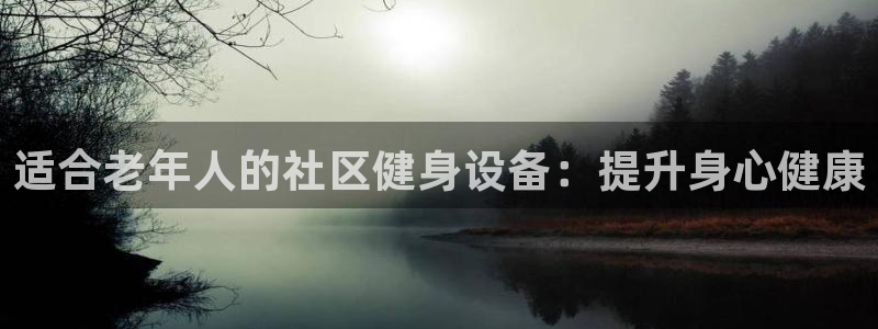 意昂3娱乐首页网站大全：适合老年人的社区健身设备：提