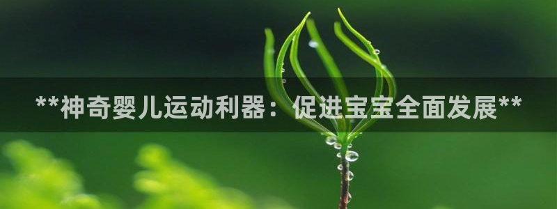 意昂体育3：**神奇婴儿运动利器：促进宝宝全面发展*