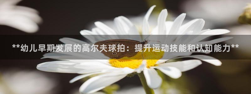 意昂体育3平台是正规平台吗：**幼儿早期发展的高尔夫