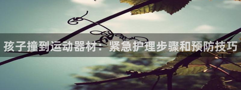 意昂体育3招商：孩子撞到运动器材：紧急护理步骤和预防