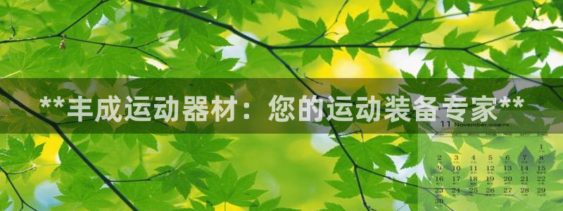 意昂3娱乐网站：**丰成运动器材：您的运动装备专家*