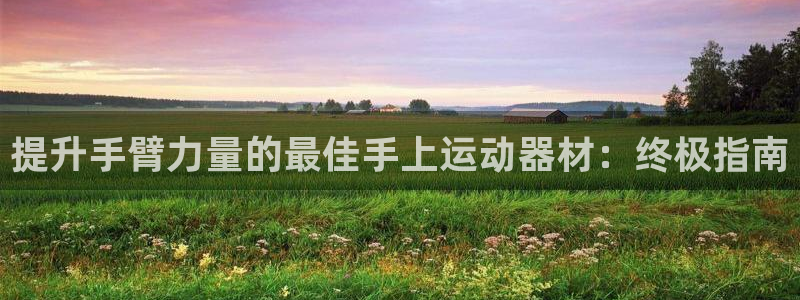 意昂体育3招商电话号码：提升手臂力量的最佳手上运动器