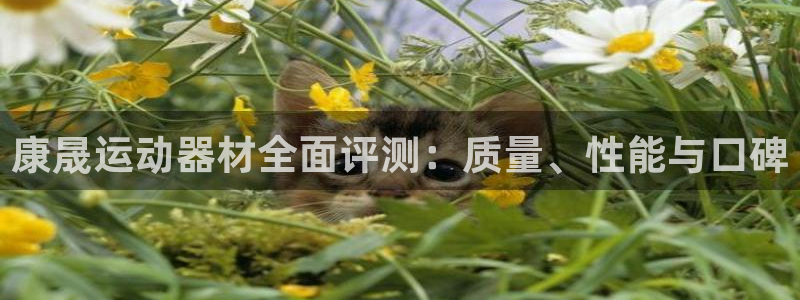 意昂体育3平台注册流程视频：康晟运动器材全面评测：质