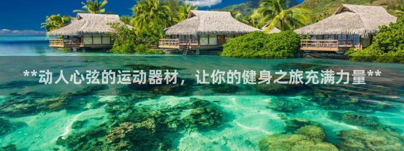 意昂体育3平台：**动人心弦的运动器材，让你的健身之