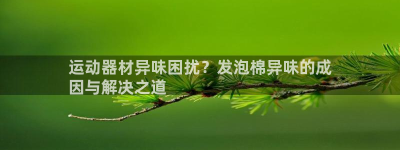 意昂3娱乐：运动器材异味困扰？发泡棉异味的成
因与解