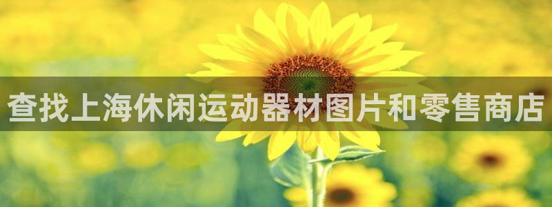 意昂体育3平台注册：查找上海休闲运动器材图片和零售商