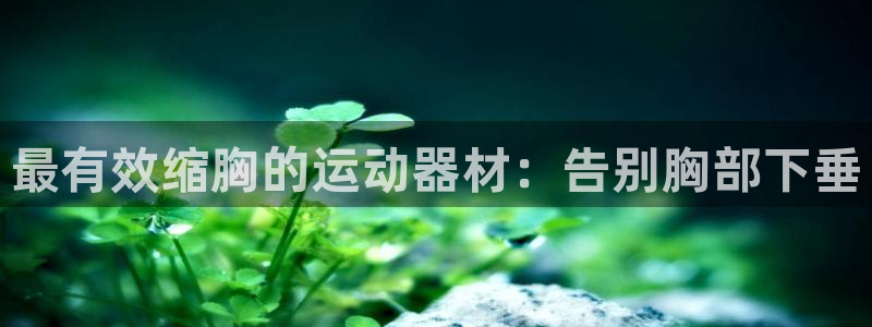 意昂体育3招商电话：最有效缩胸的运动器材：告别胸部下垂