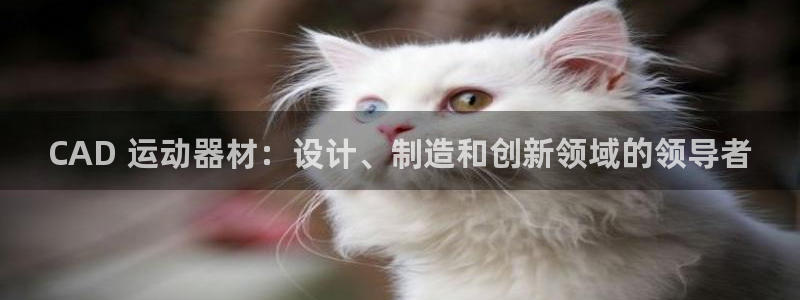 意昂平台体育：CAD 运动器材：设计、制造和创新领域