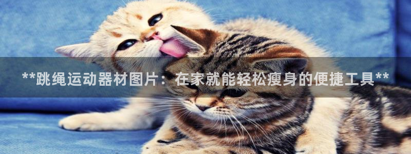 意昂体育3娱乐：**跳绳运动器材图片：在家就能轻松瘦