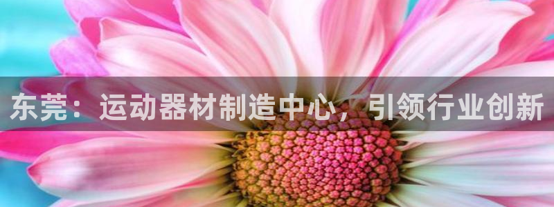 意昂体育3招商电话地址是多少：东莞：运动器材制造中心