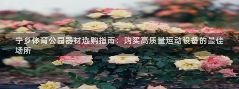 意昂体育3官方客服电话