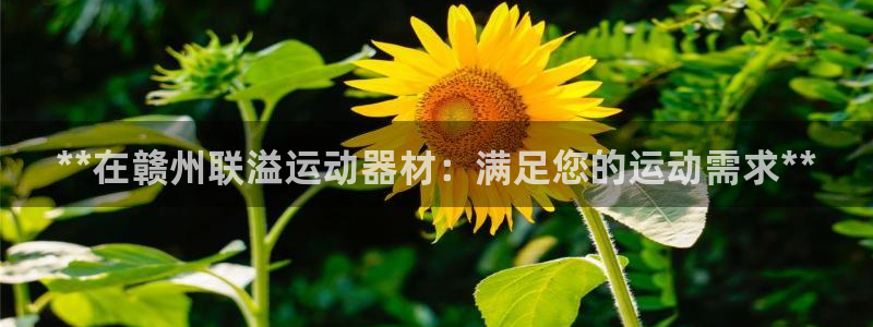 意昂3五金厂：**在赣州联溢运动器材：满足您的运动需求**