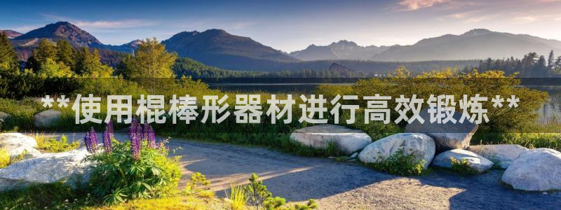 意昂体育3平台APP：**使用棍棒形器材进行高效锻炼