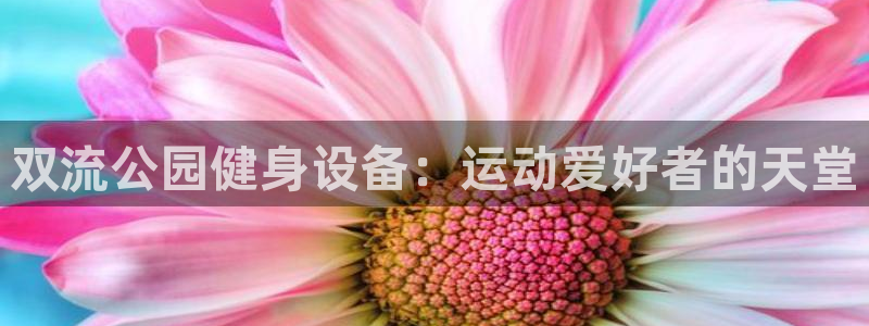意昂体育3招商电话：双流公园健身设备：运动爱好者的天