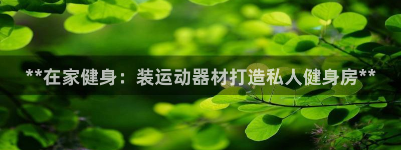 意昂3官网：**在家健身：装运动器材打造私人健身房**
