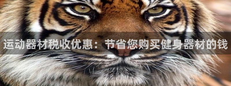 意昂3神州：运动器材税收优惠：节省您购买健身器材的钱