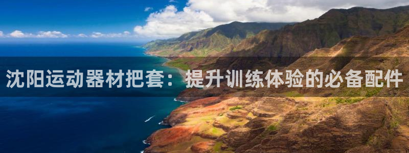 意昂3集团：沈阳运动器材把套：提升训练体验的必备配件
