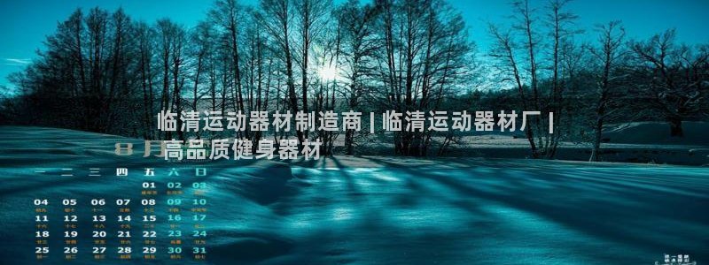 海南意昂体育3：临清运动器材制造商 | 临清运动器材