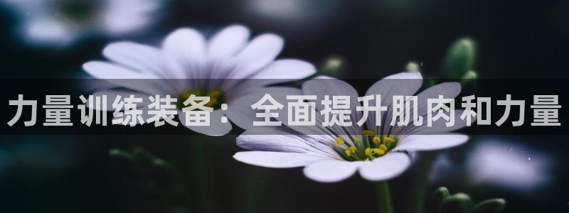 意昂3新能源