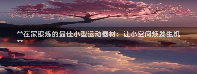 意昂体育3平台假的吗是真的吗吗：**在家锻炼的最佳小型运动器