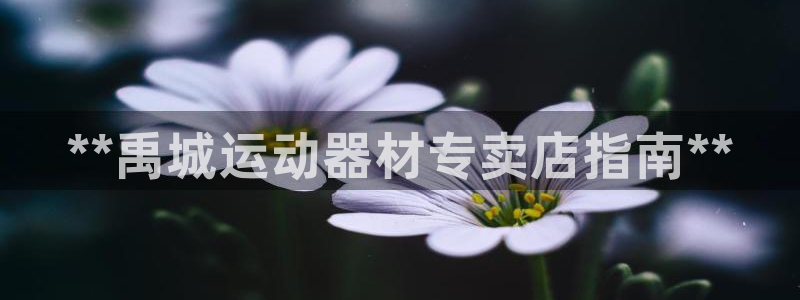 意昂体育3平台是正规平台吗安全吗：**禹城运动器材专卖店指南