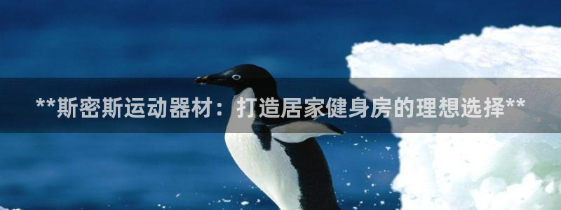意昂3集团官网首页：**斯密斯运动器材：打造居家健身房的理想