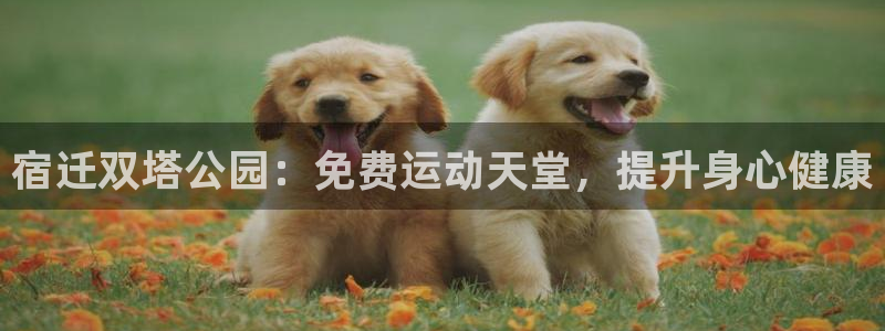 意昂3集团E.ON：宿迁双塔公园：免费运动天堂，提升身心健康