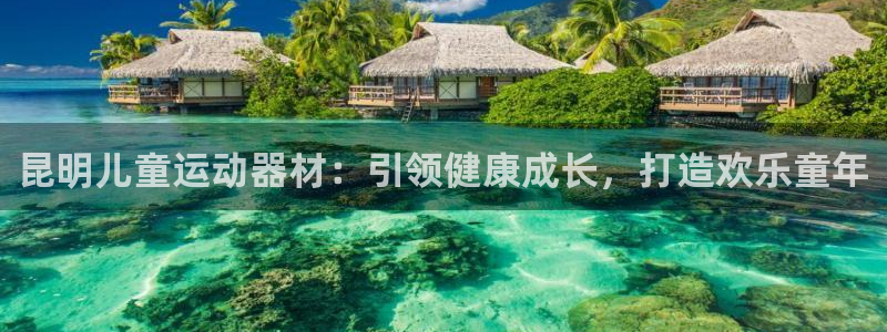 意昂体育3招商电话号码：昆明儿童运动器材：引领健康成