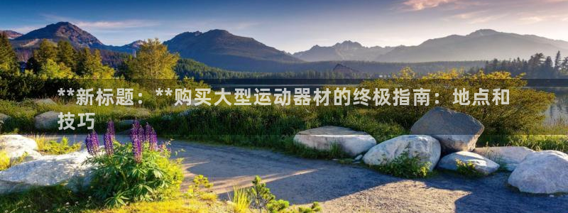 意昂体育3招商电话：**新标题：**购买大型运动器材