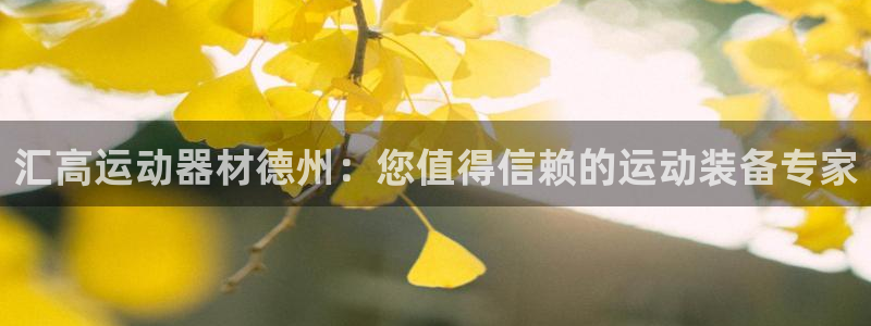 意昂体育3招商：汇高运动器材德州：您值得信赖的运动装