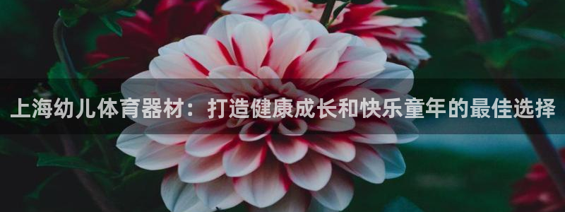 意昂3官网：上海幼儿体育器材：打造健康成长和快乐童年