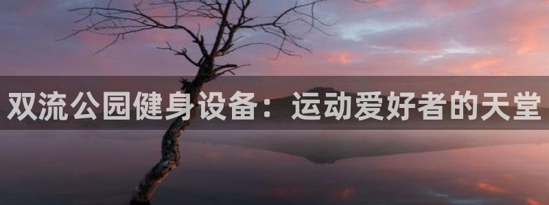 意昂3集团官网首页：双流公园健身设备：运动爱好者的天