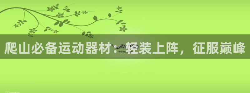意昂3官网：爬山必备运动器材：轻装上阵，征服巅峰