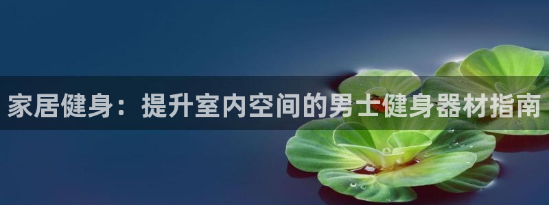 德国意昂3集团：家居健身：提升室内空间的男士健身器材
