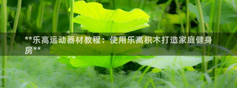 意昂体育3招商电话是多少啊：**乐高运动器材教程：使